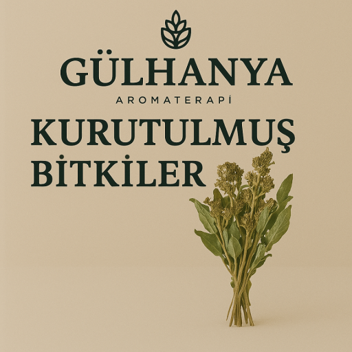 Kurutulmuş Bitkiler