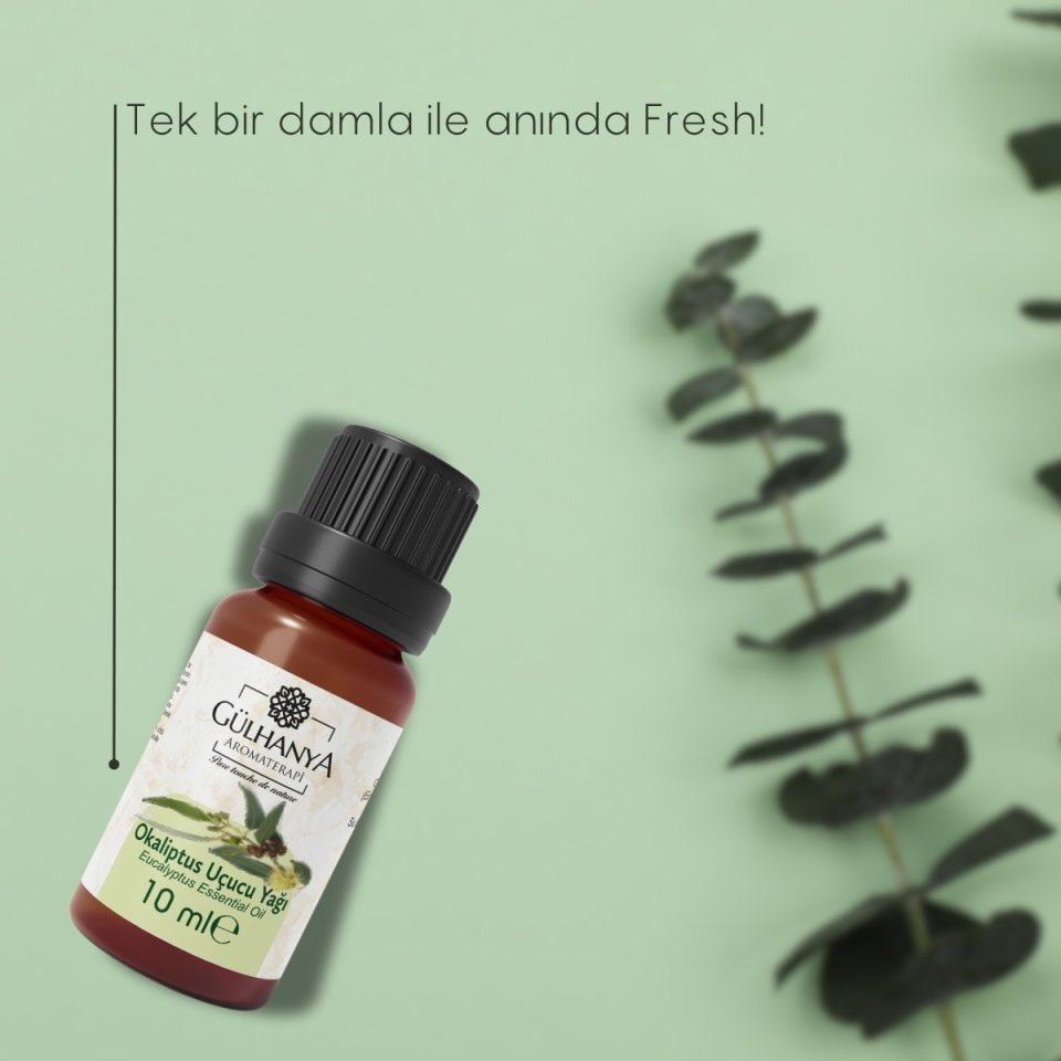 Okaliptus Uçucu Yağı 10ml