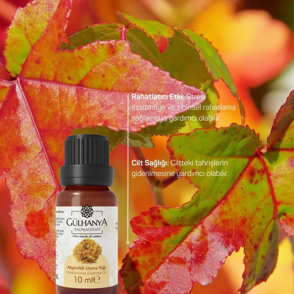 Akgünlük Uçucu Yağı 10ml