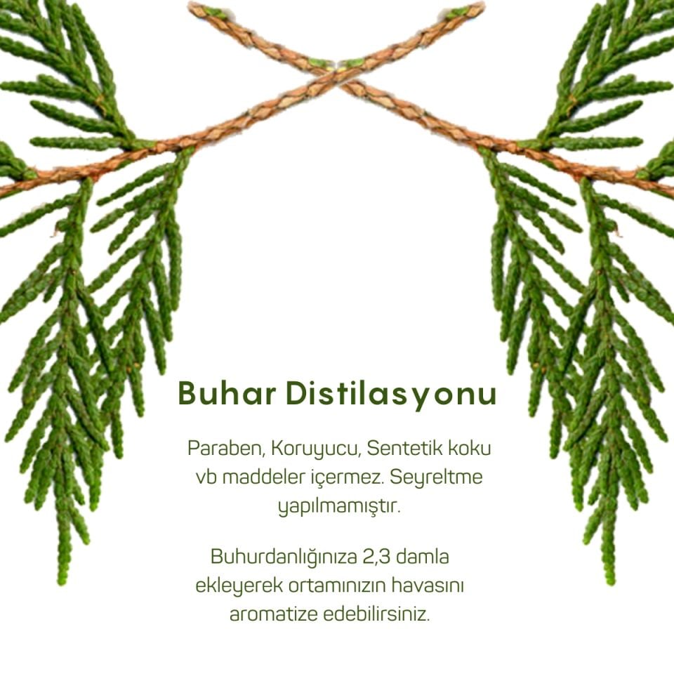 Sedir Uçucu Yağı 10ml