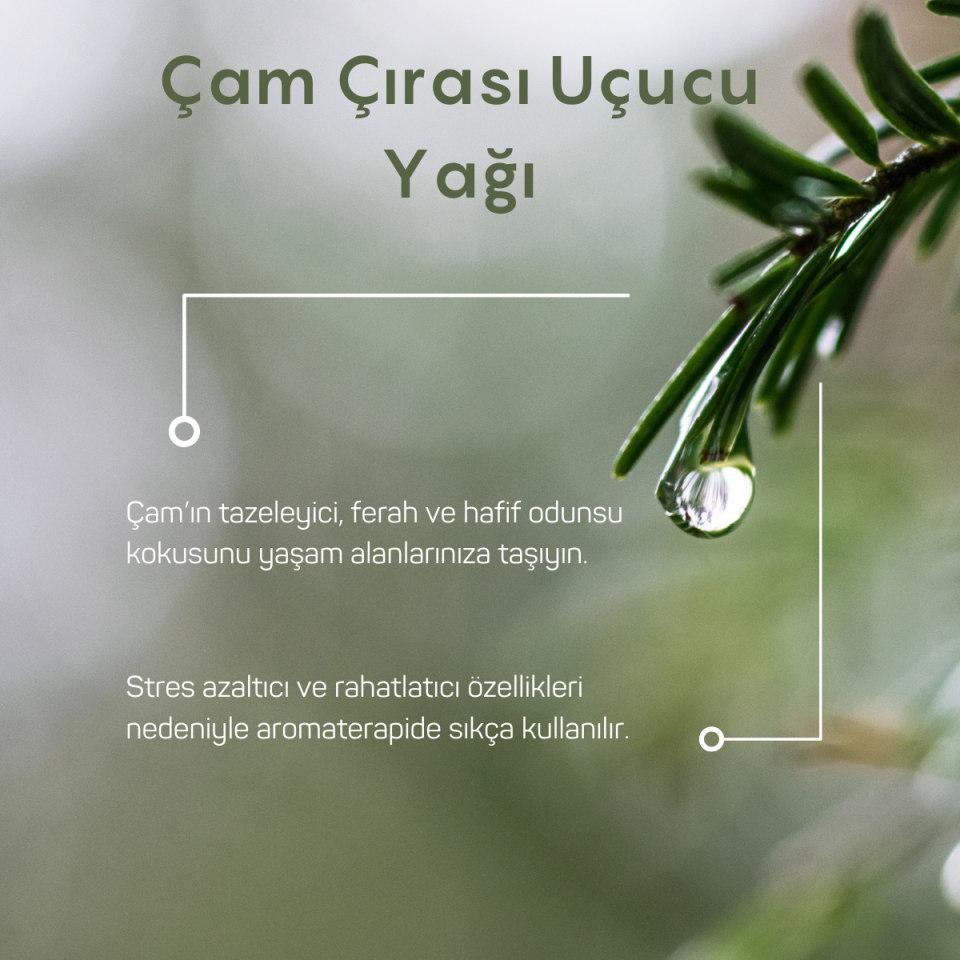 Çam Çırası Uçucu Yağı 10ml