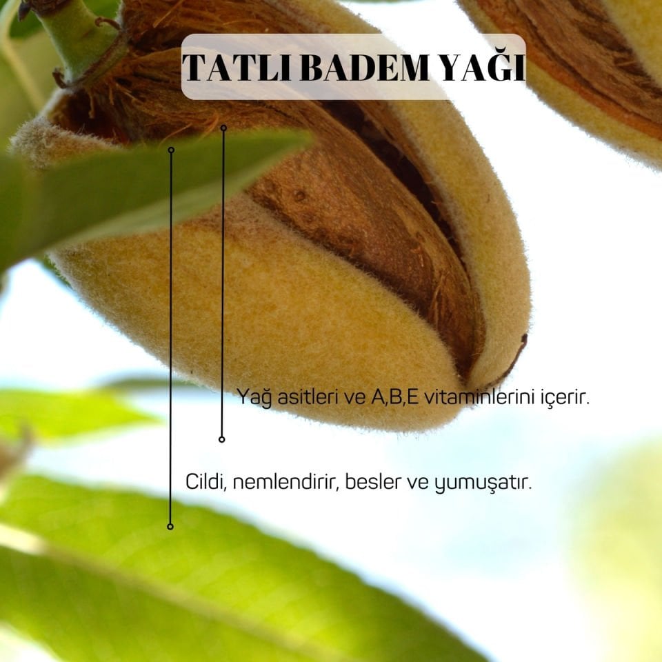 Tatlı Badem Yağı 50ml