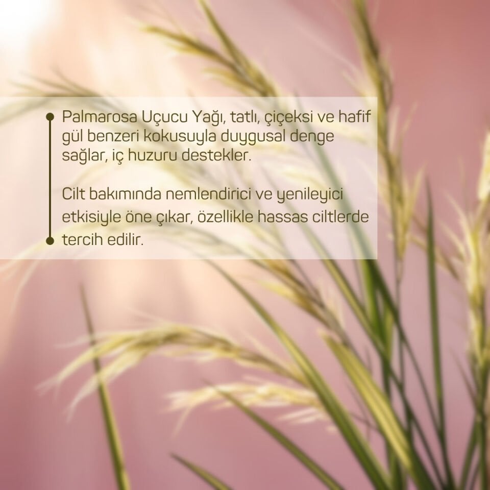 Palmarosa Uçucu Yağı 10ml