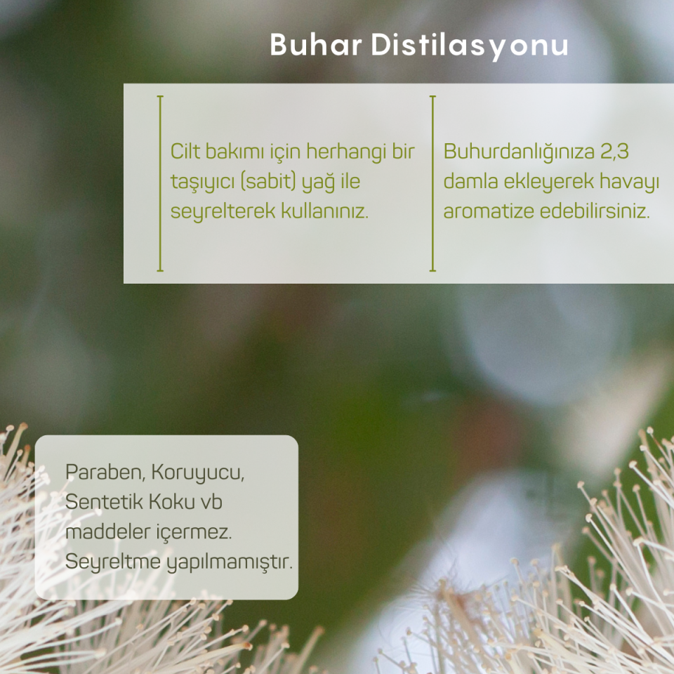 Niaouli Uçucu Yağı 10ml