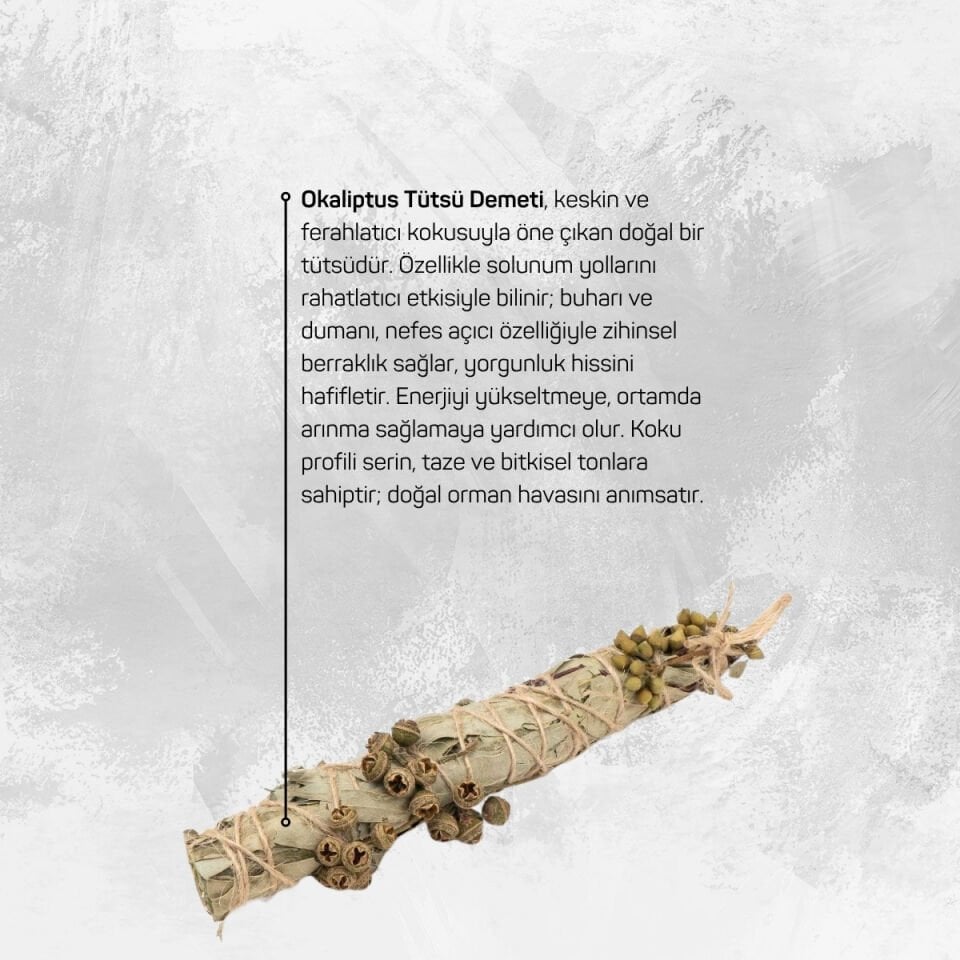 Okaliptus Tütsü Demeti